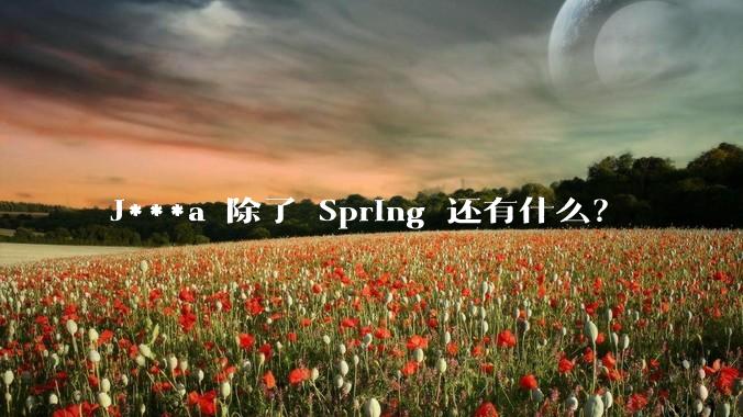 J***a 除了 Spring 还有什么？